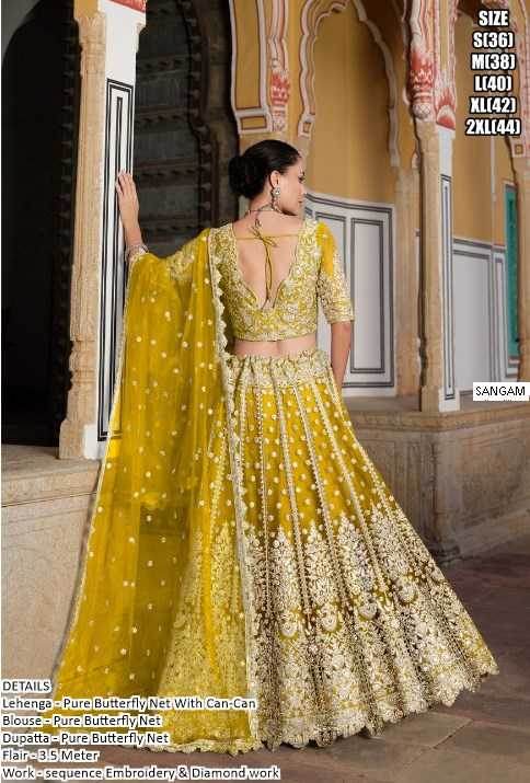 Butterfly Net Designer Lehenga Choli for Elegant Events - MYLUXURY LANE ENTERPRISE